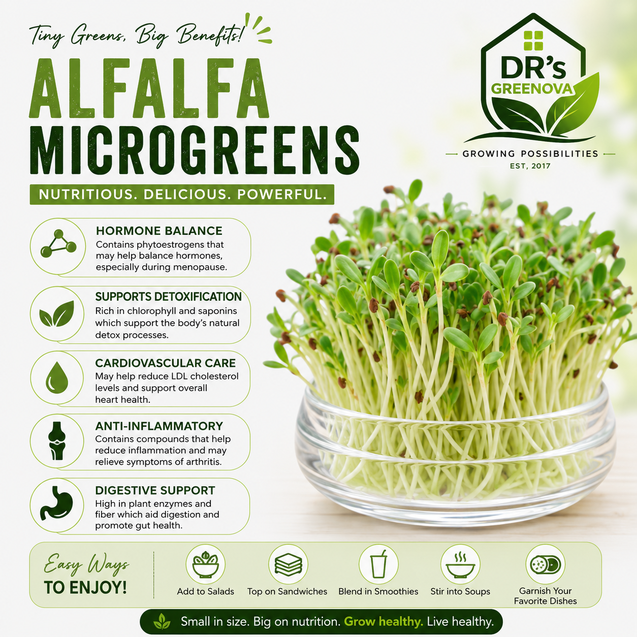 Alfalfa microgreens seeds - 100 g