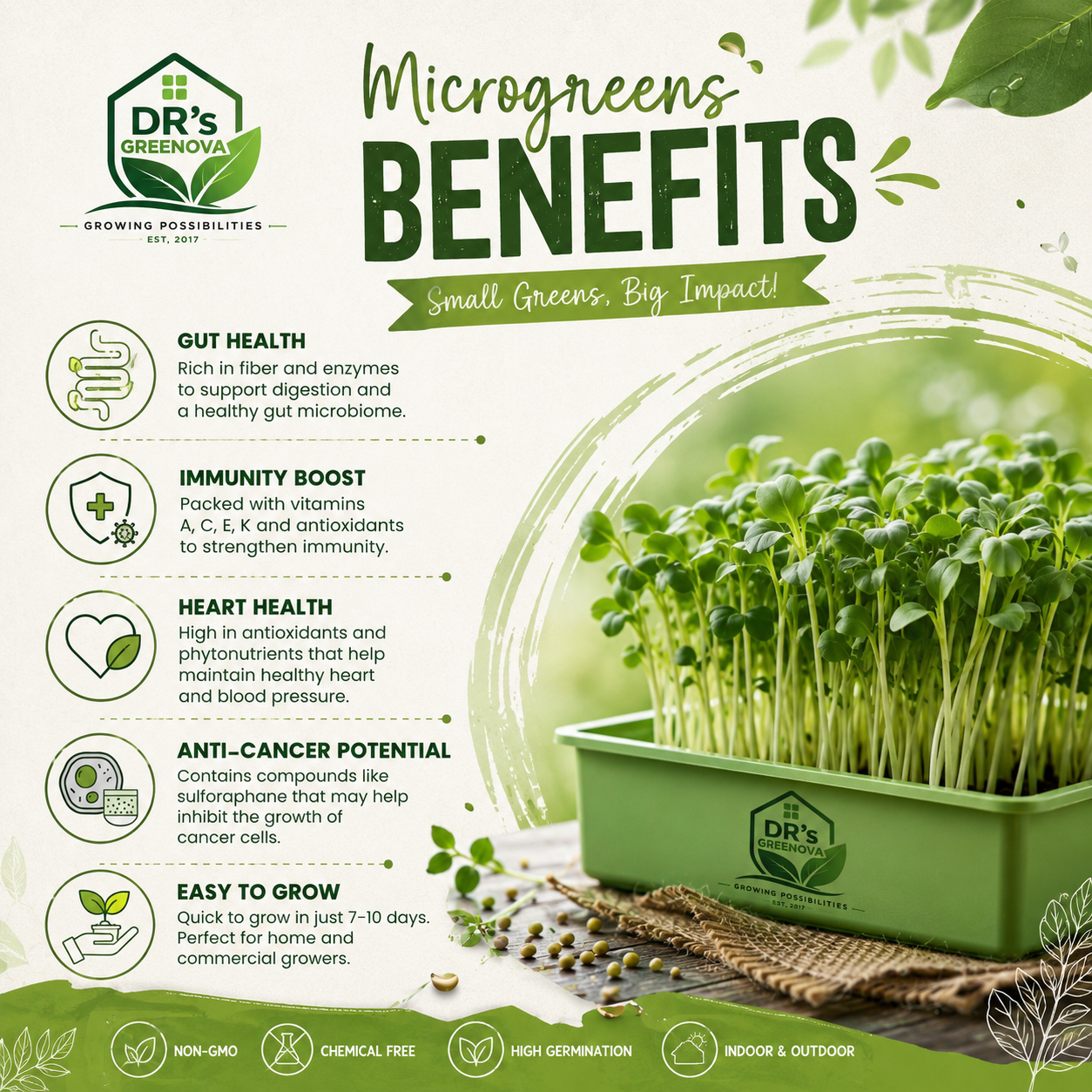 Broccoli Microgreen Seeds - 100 g