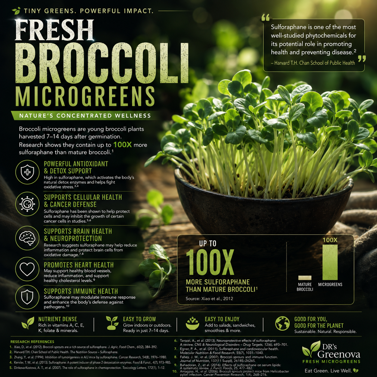 Fresh Broccoli Microgreens