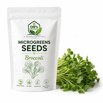 Broccoli Microgreen Seeds - 100 g