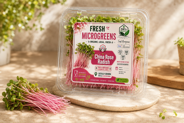 Fresh China Rose Radish Microgreens - 100 g
