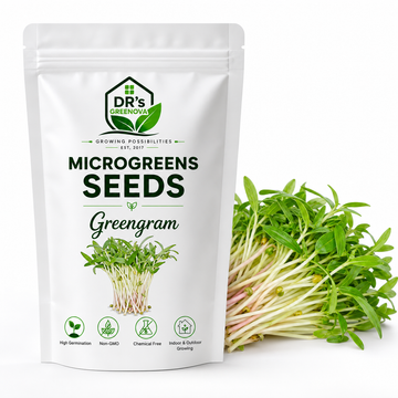 Moong Bean Microgreen Seeds - 200 g