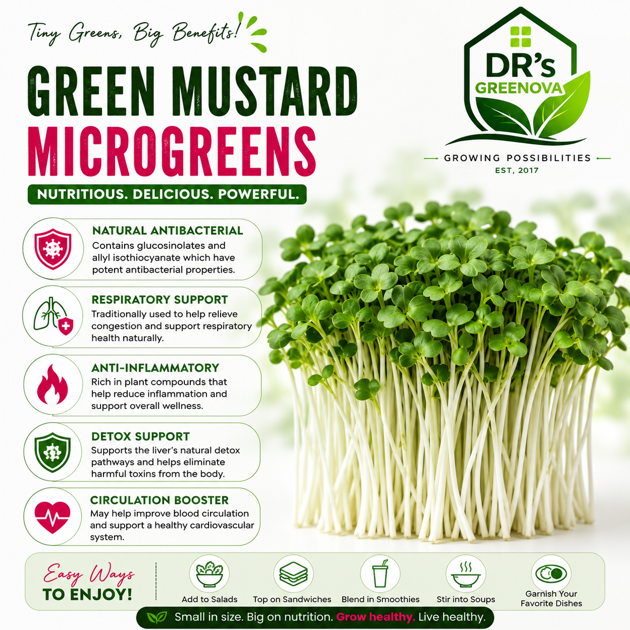Fresh Green Mustard Microgreens - 100 g