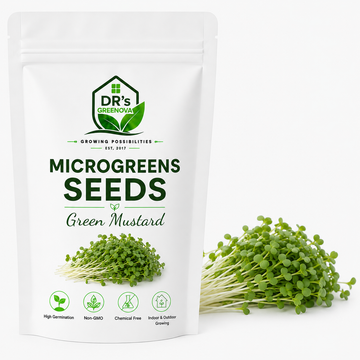 Green Mustard Microgreen Seeds - 100 g
