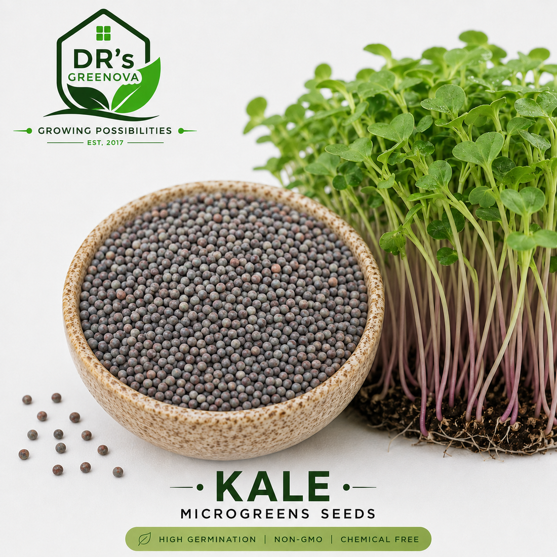Kale Microgreens seeds- 100g