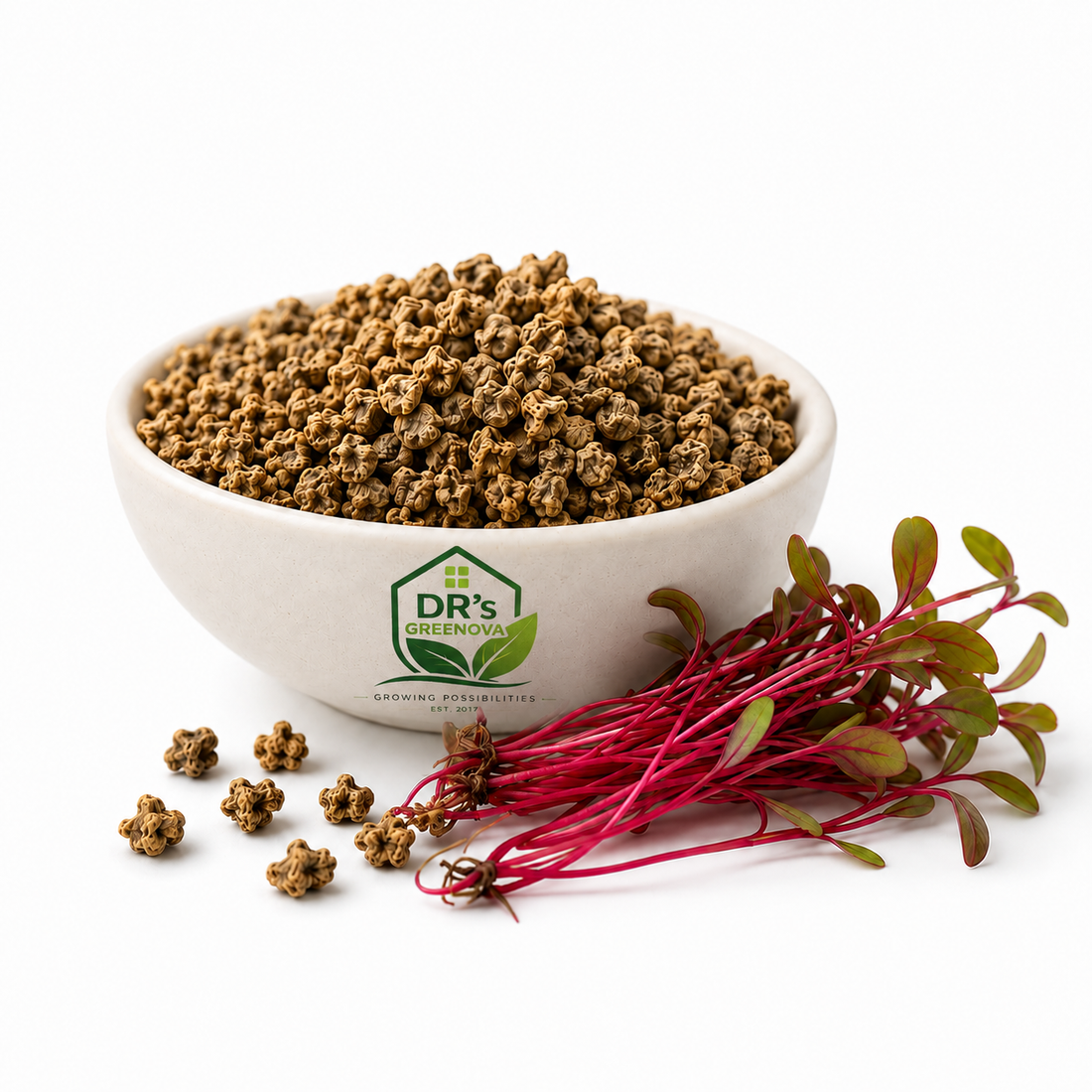 Beet Root Microgreen Seeds - 100 g
