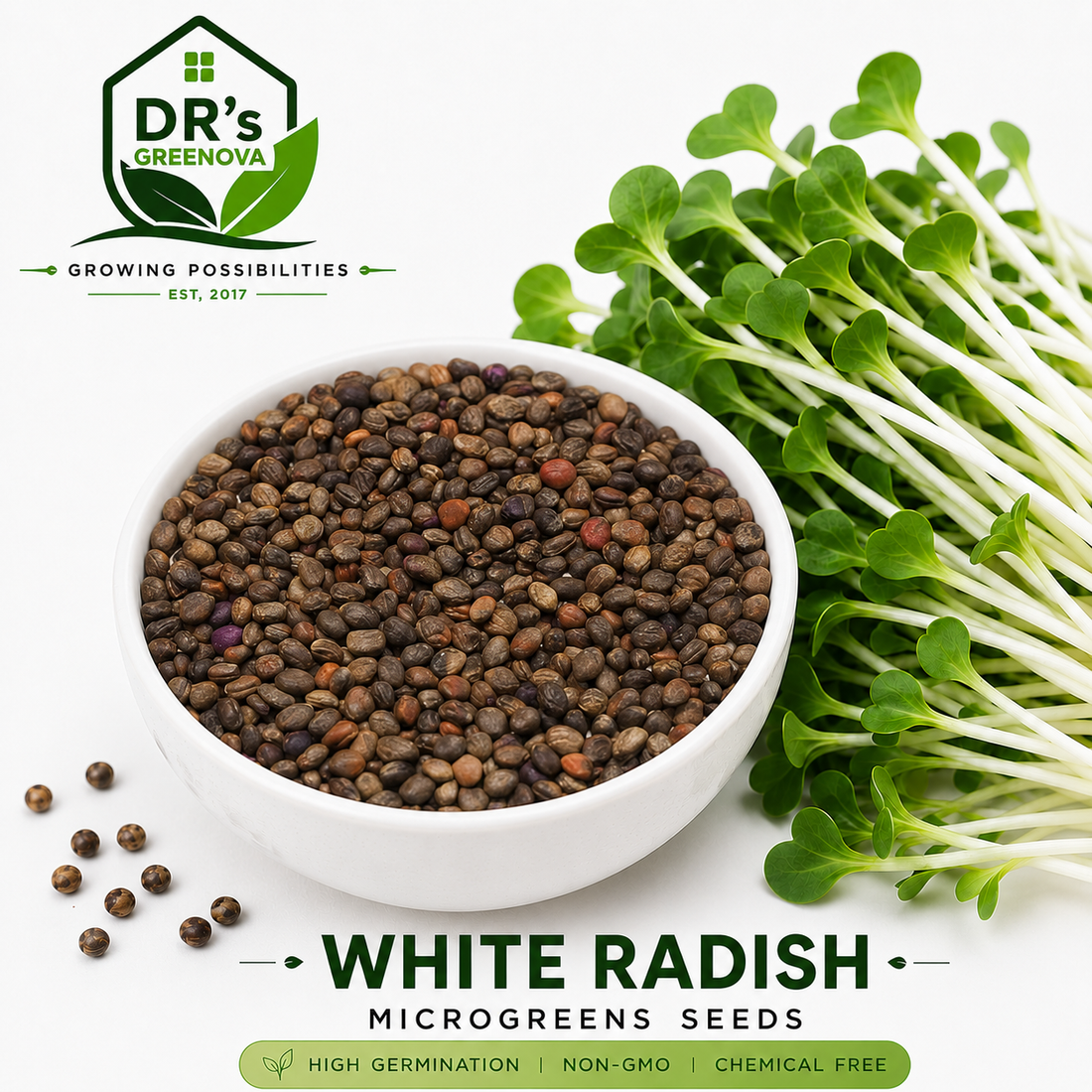 White Radish Microgreens Seeds - 200g