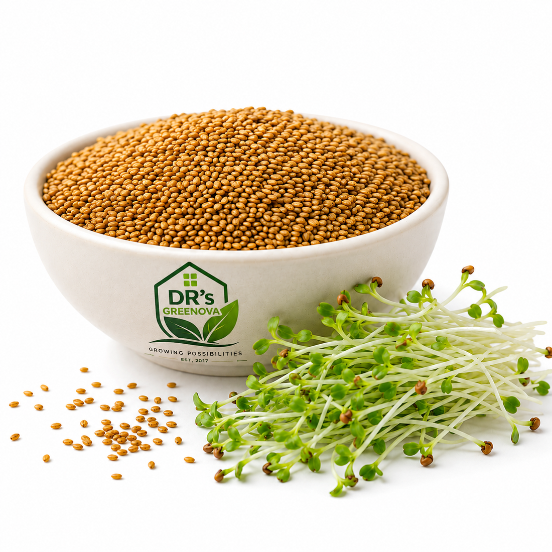 Alfalfa microgreens seeds - 100 g