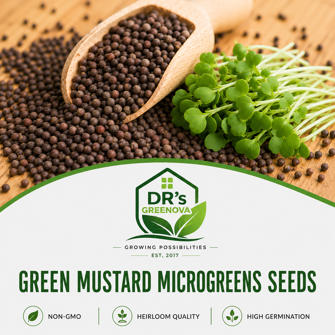Green Mustard Microgreen Seeds - 100 g