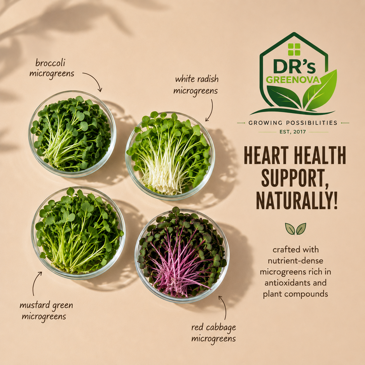 Veera Plus – Immunity Booster Nutrition Blend
