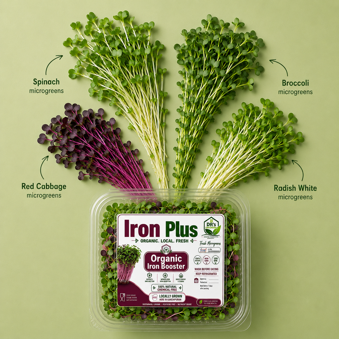 Iron Plus – Organic Iron Booster