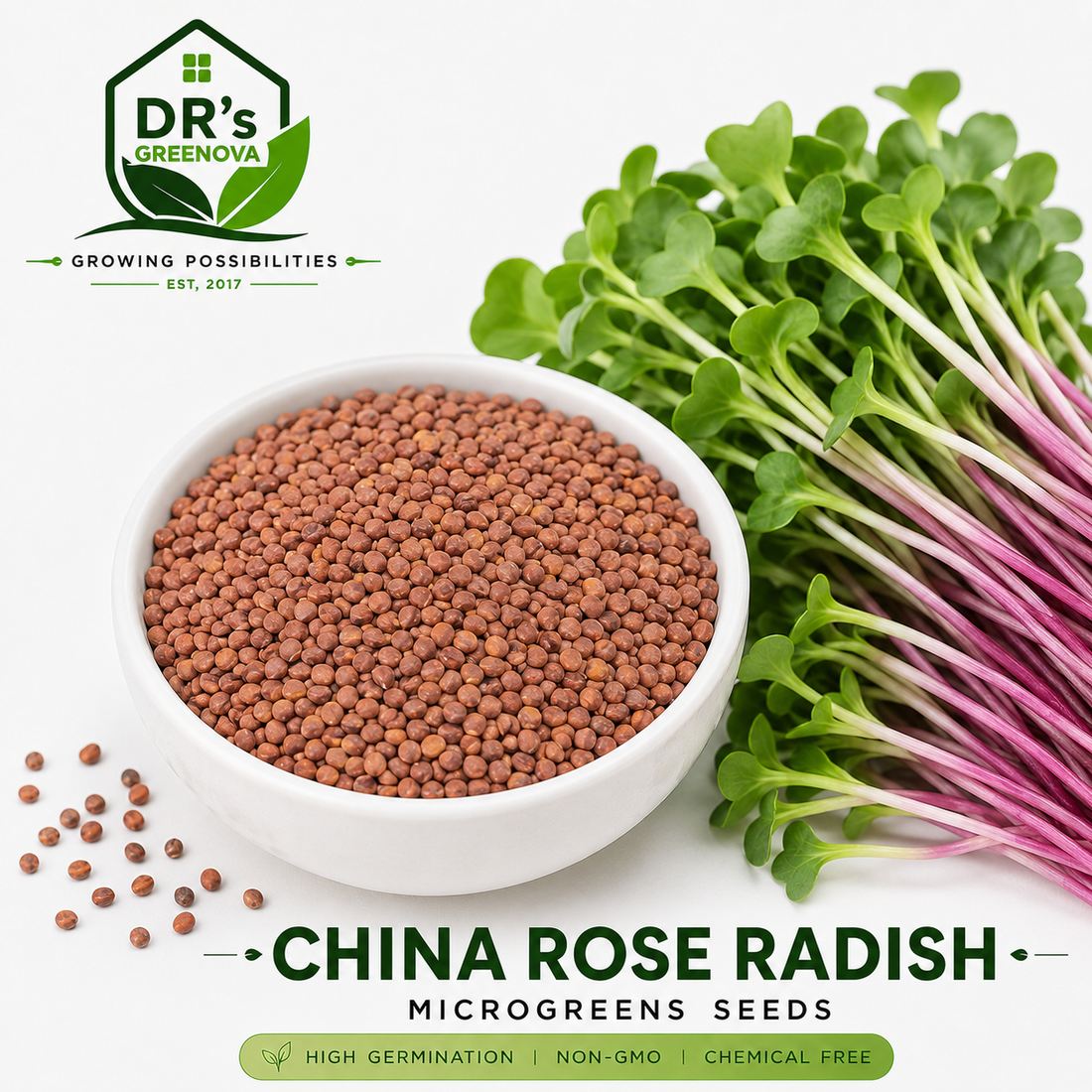 China Rose Radish Microgreen Seeds - 200g