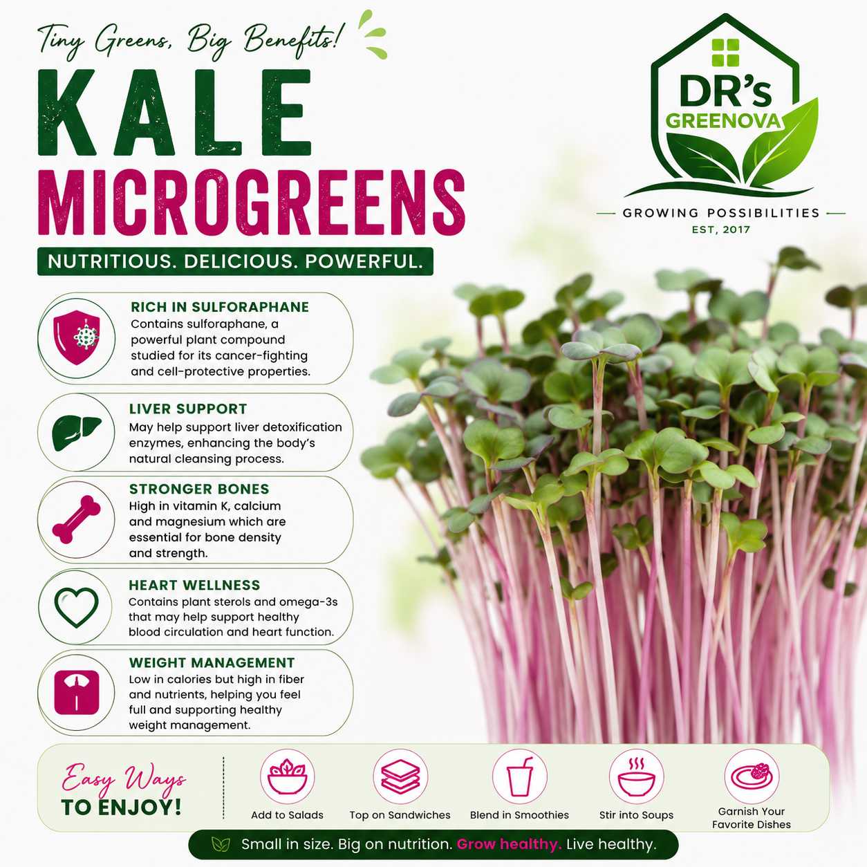 Kale Microgreens seeds- 100g