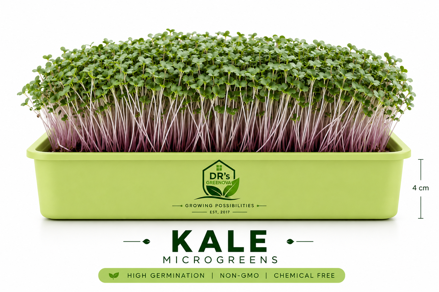 Kale Microgreens seeds- 100g
