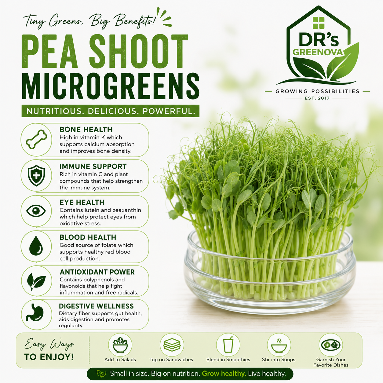Peas Microgreens Seeds - 100g