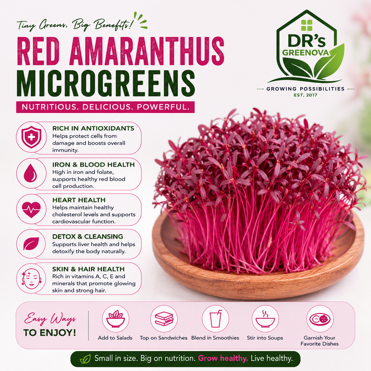 Red Amaranthus Microgreens seeds - 100g