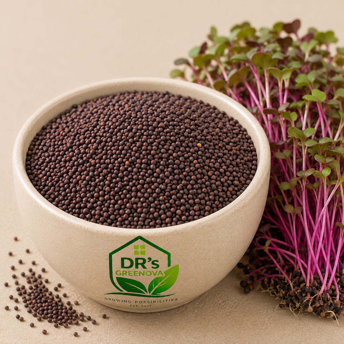 Red Cabbage Microgreens - 50g