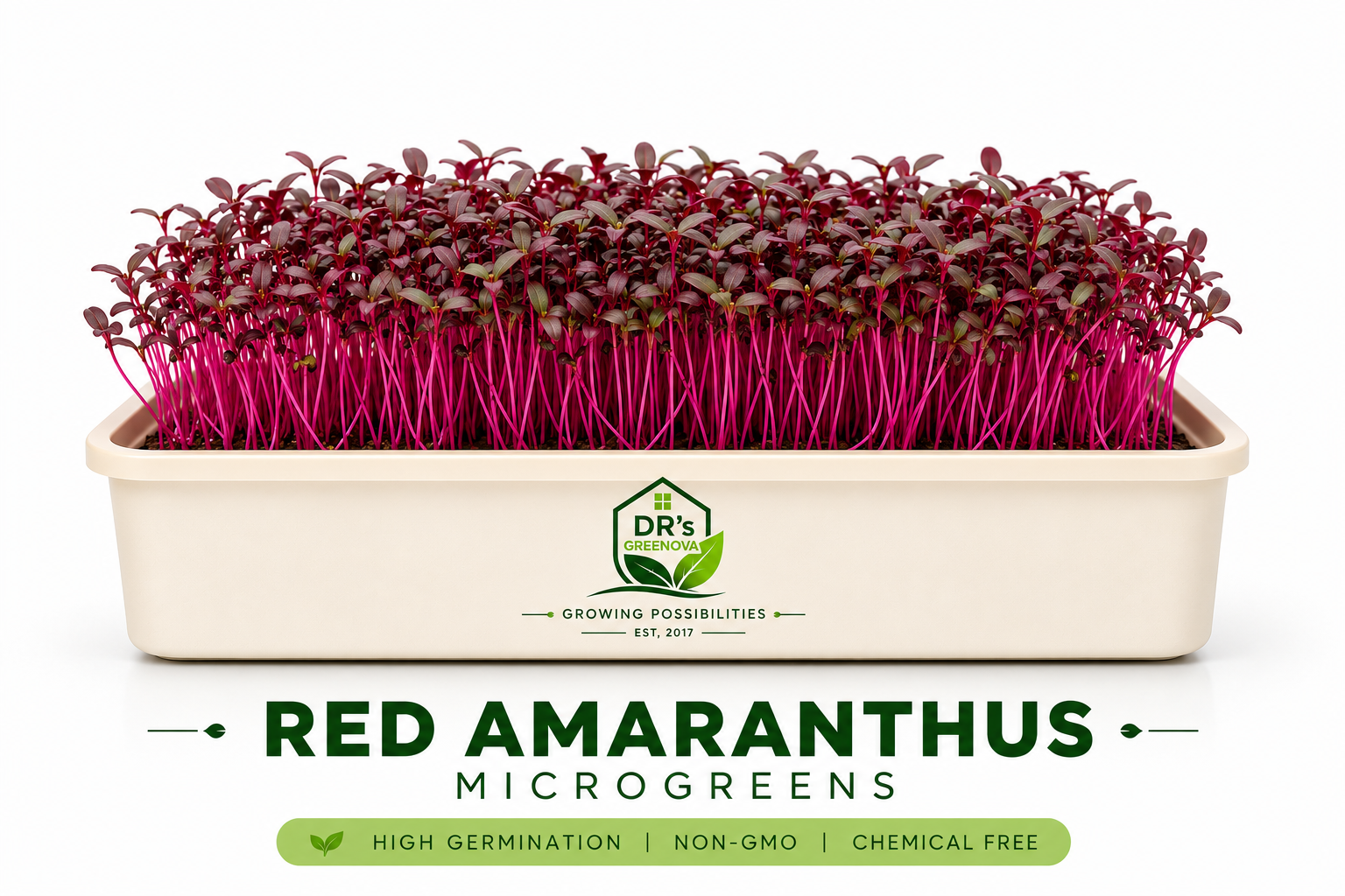 Red Amaranthus Microgreens seeds - 100g