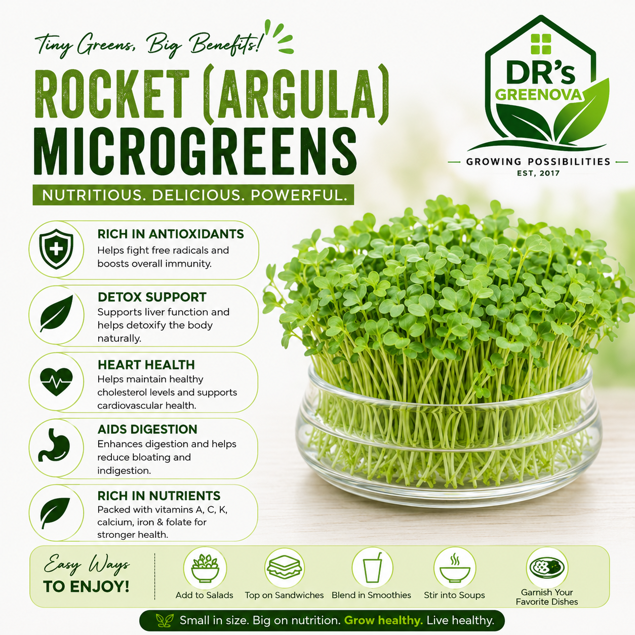 Fresh Rocket Arugula Microgreens - 100 g
