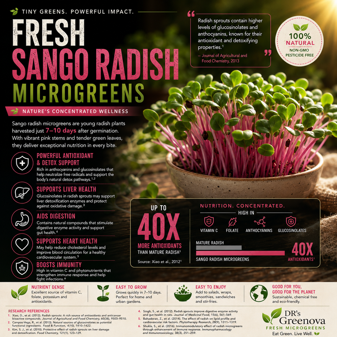 Fresh Sango Radish Microgreens - 75 g