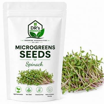 Spinach Microgreens seeds - 100 g