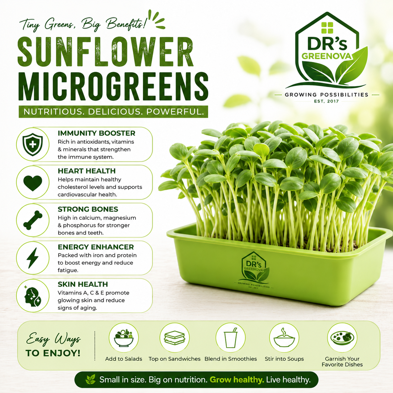 Fresh Sunflower Microgreens - 100 g
