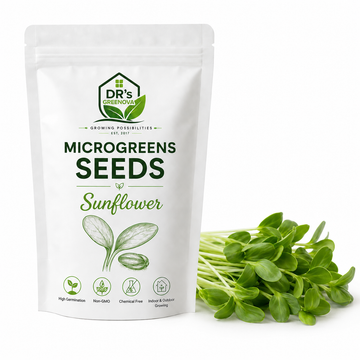 Sunflower Microgreen Seeds - 100 g