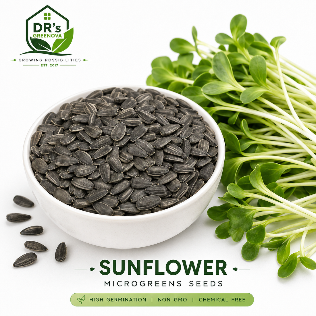 Sunflower Microgreen Seeds - 100 g
