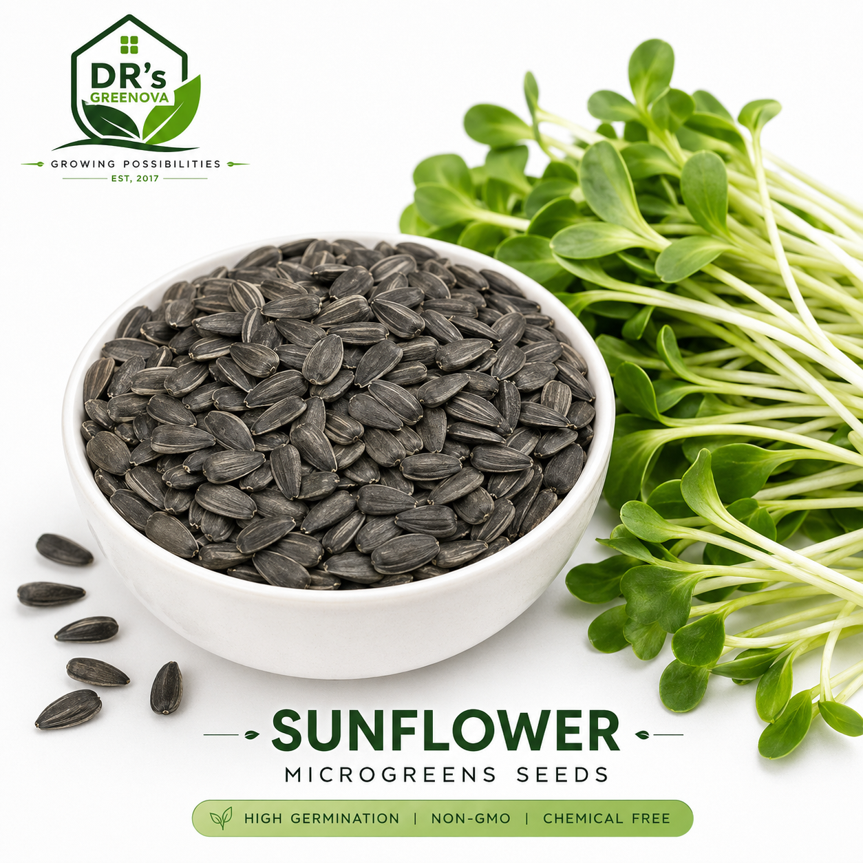 Sunflower Microgreen Seeds - 100 g