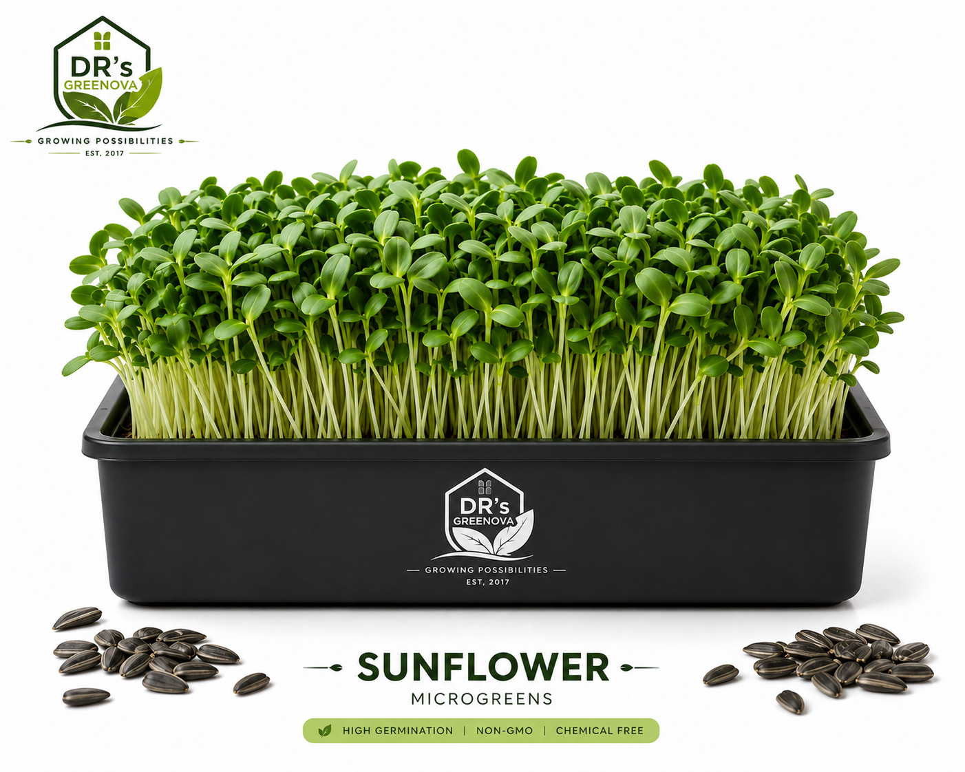 Fresh Sunflower Microgreens - 100 g