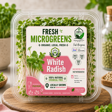 Fresh White Radish Microgreens - 100g